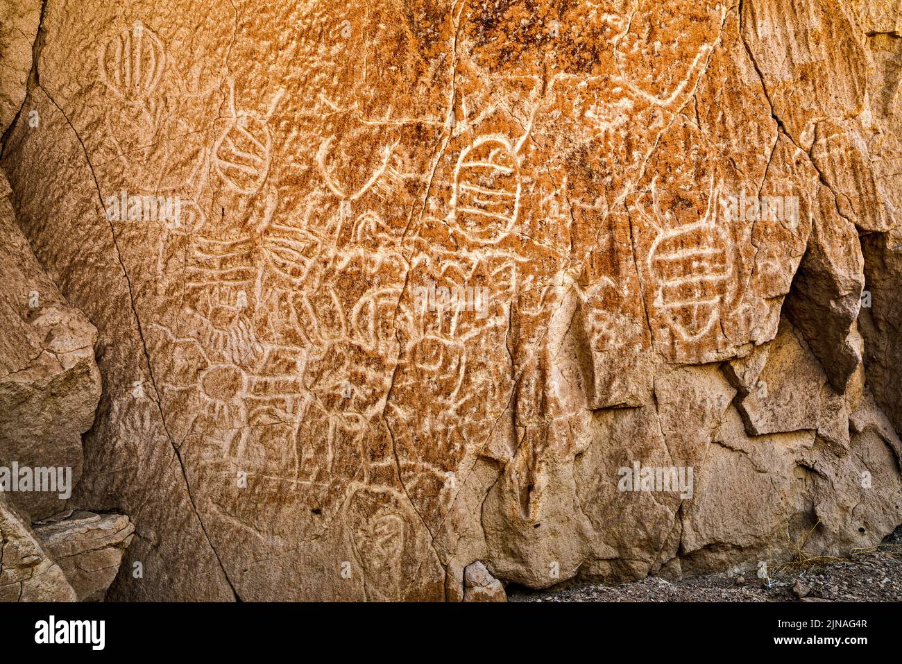 Petroglyphs at tuff outcrop, White River Narrows Archaeological District, Valley of Faces, Basin and Range National Monument, Nevada, USA Stock Photo