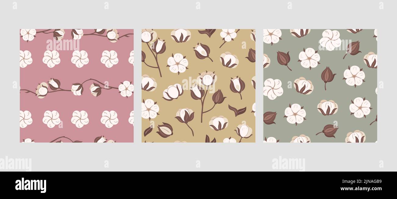 Cotton flower pattern. Soft bolls of blooming flowers, organic ...