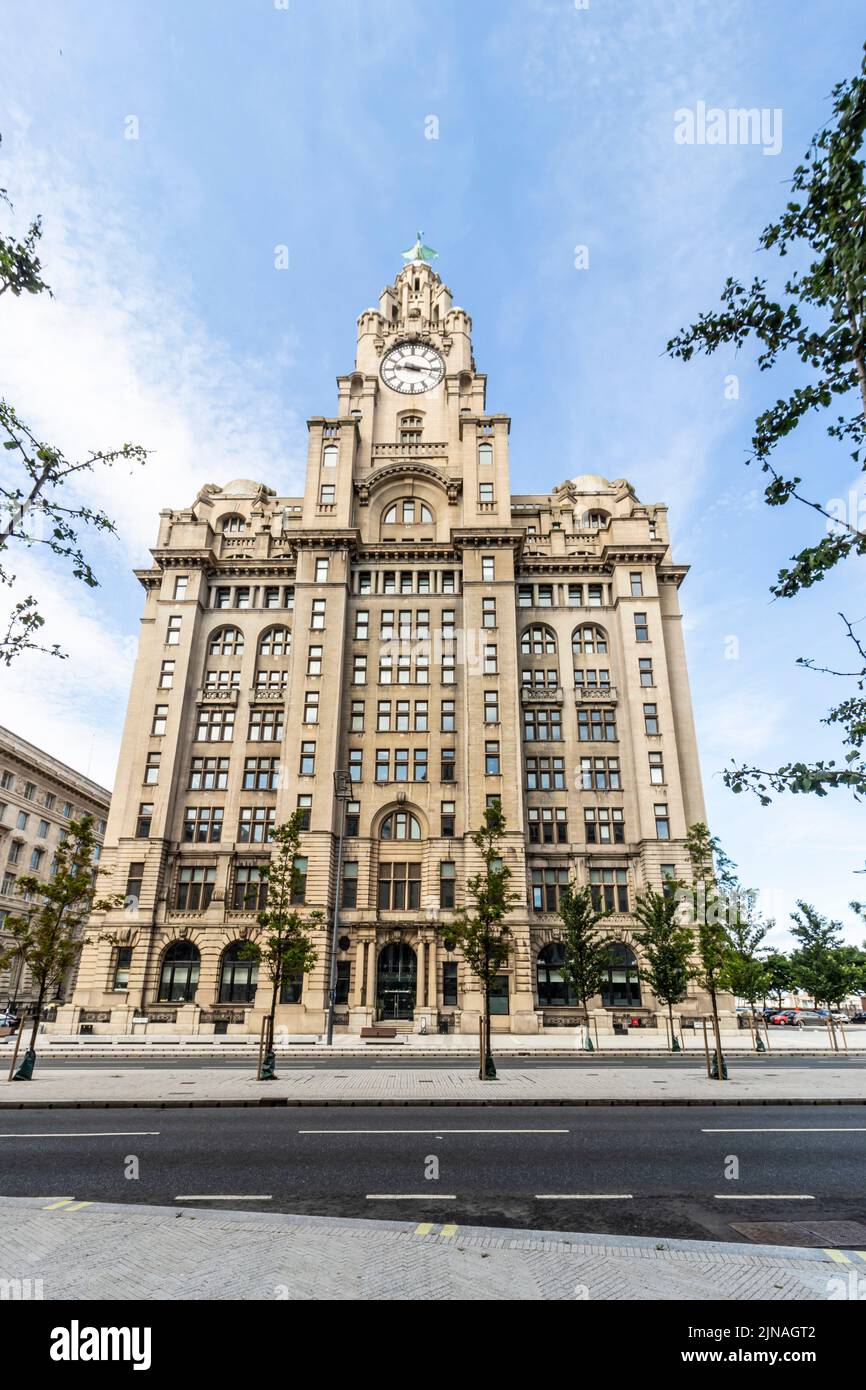 liver building in Liverpool Merseyside Stock Photo