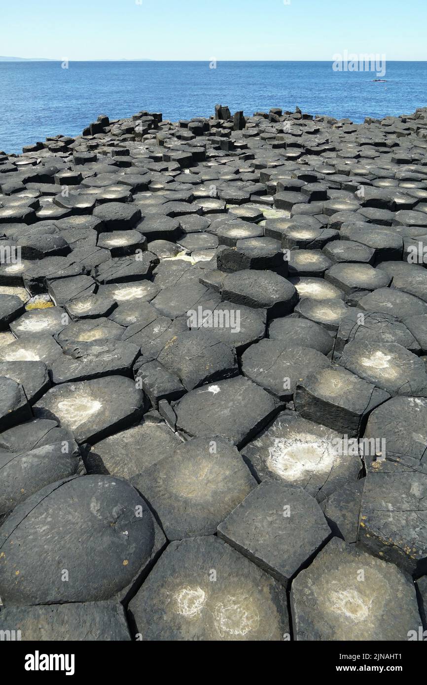 Giant's Causeway, basalt columns, national nature reserve, County Antrim, Northern Ireland, Tuaisceart Éireann, United Kingdom, Europe Stock Photo