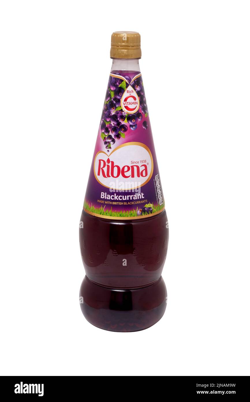 Bottle of Ribena juice drink concentrate 1.5L isolated on white with clipping path cut out Stock Photo