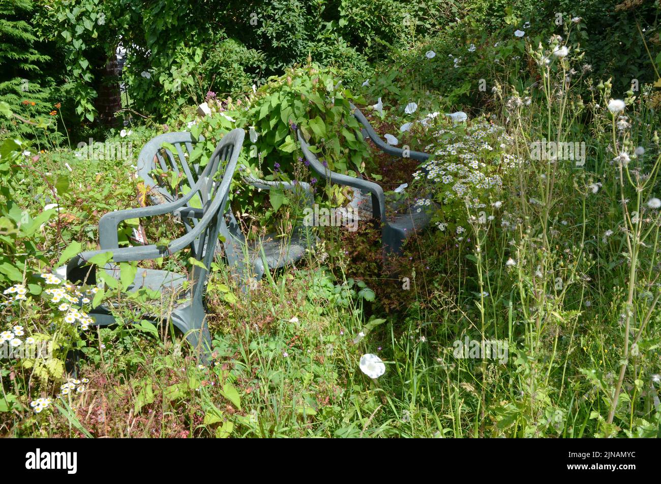 Plastic patio chairs left in a garden which has overgrown with neglect