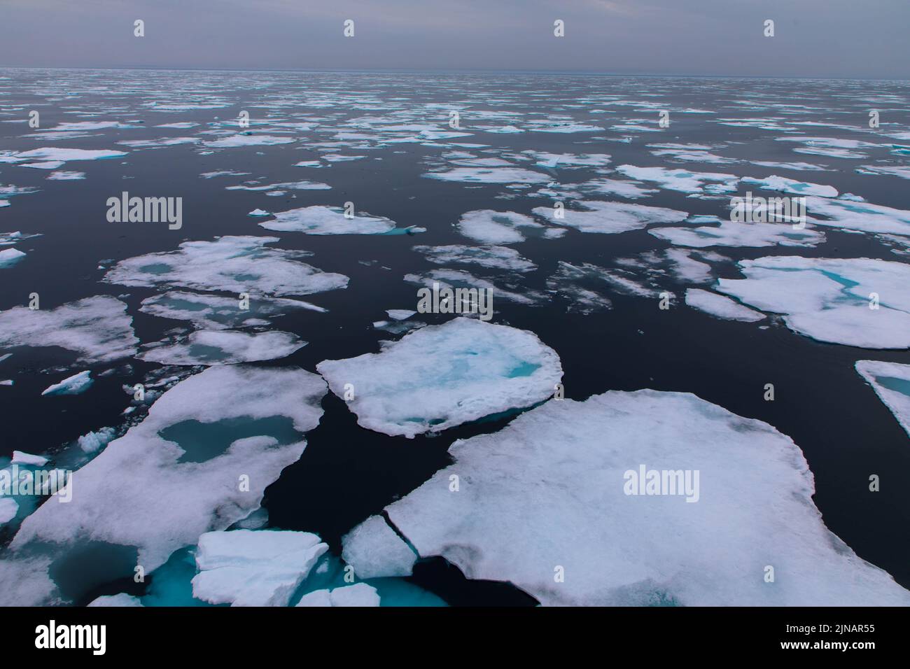 Floating Pack Ice in the arctic ocean. The snow covered blue glacial