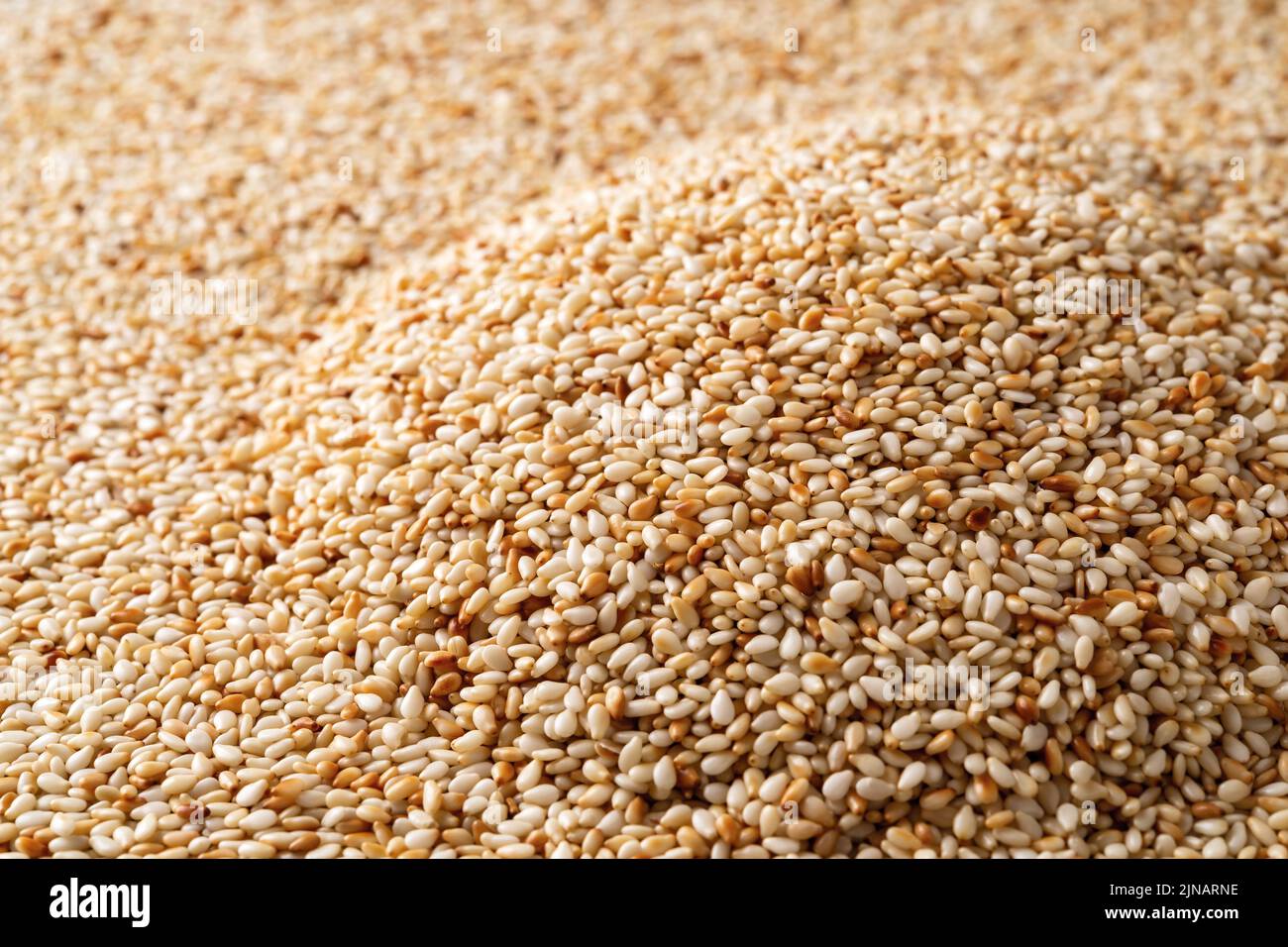 Heap of toasted sesame seeds macro texture. Pile of roasted Sesamum indicum background. White til as asian cuisine ingredient. Organic benne seeds. Stock Photo