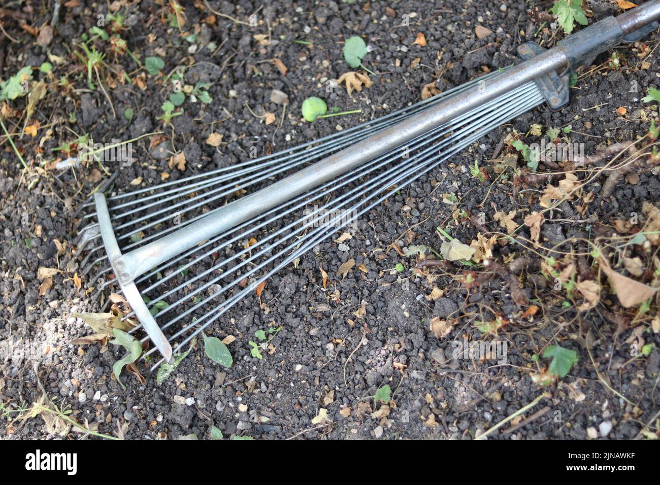 Silver metal garden rake with fine tines lying on the ground  Stock Photo