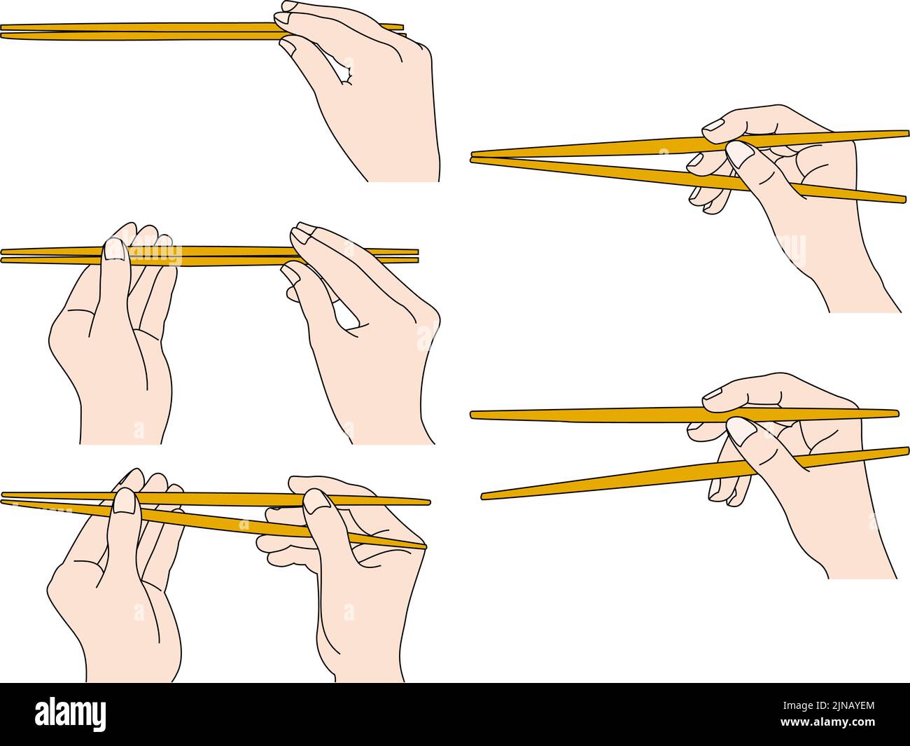 How to hold chopsticks beautifully Stock Vector Image & Art Alamy