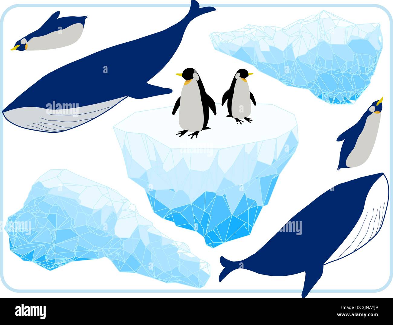 Antarctic whales Stock Vector Images - Alamy