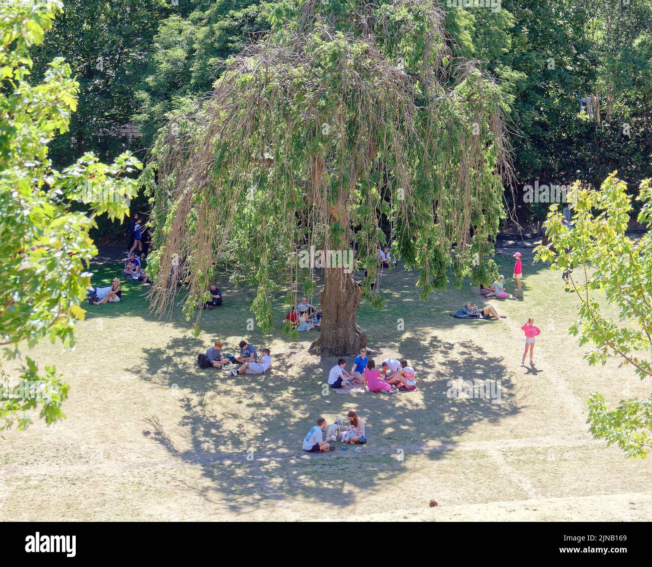 Edinburgh, Scotland, UK  10th August,  2022. UK Weather: Princes street gardens,  Sunny weather on the way saw locals and tourists toast in the sun as the grass on princes street gardens burned and  they took in the acts and flyer chuckers on the royal mile and mound. Credit Gerard Ferry/Alamy Live News Stock Photo