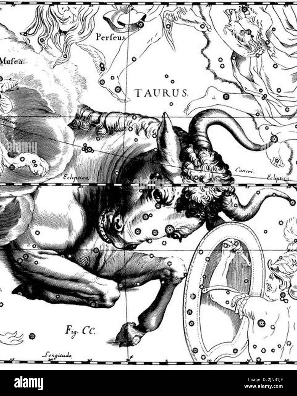 Hevelius taurus hires stock photography and images Alamy