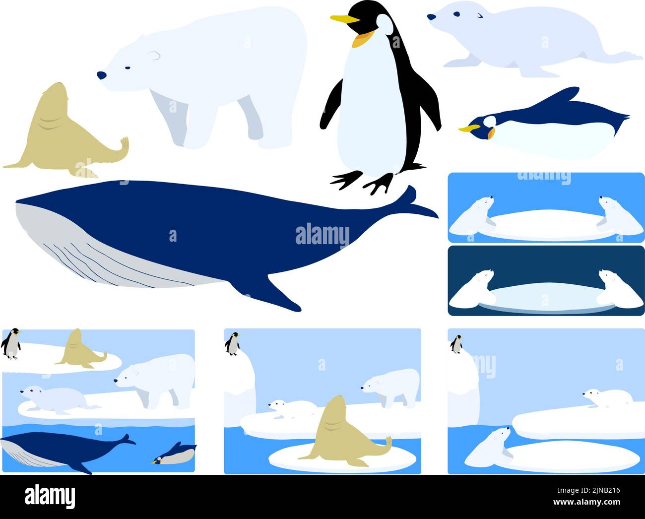 A set of drift ice, polar bears, penguins, sea lions, fur seals and whales Stock Vector