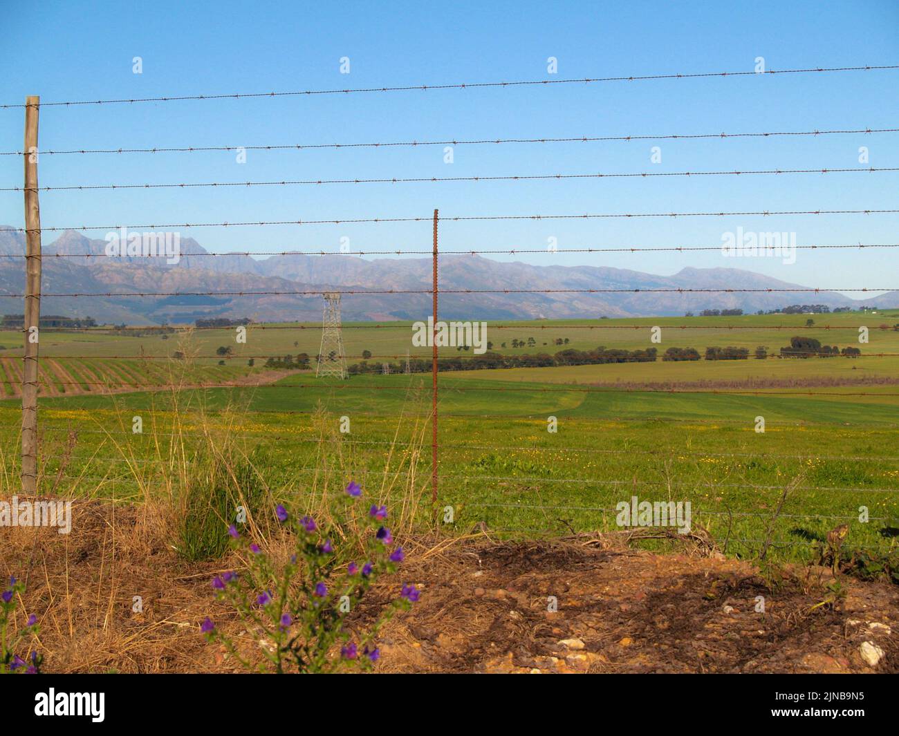 South African farmland through fence with hills in distance under blue sky. Stock Photo