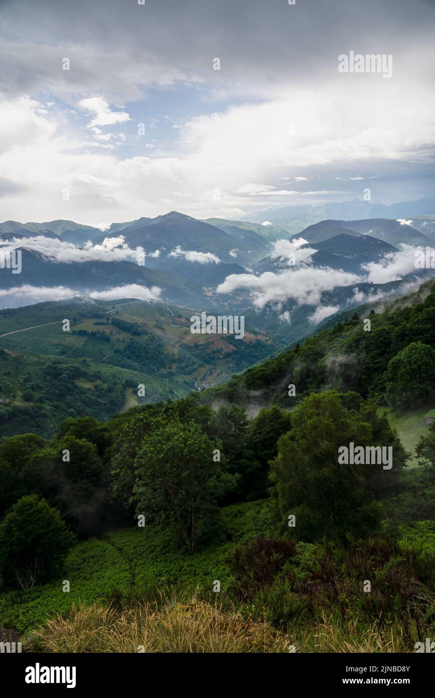 Scattered Ranges a mountain range, slopes covered by trees and grass and scattered low ...