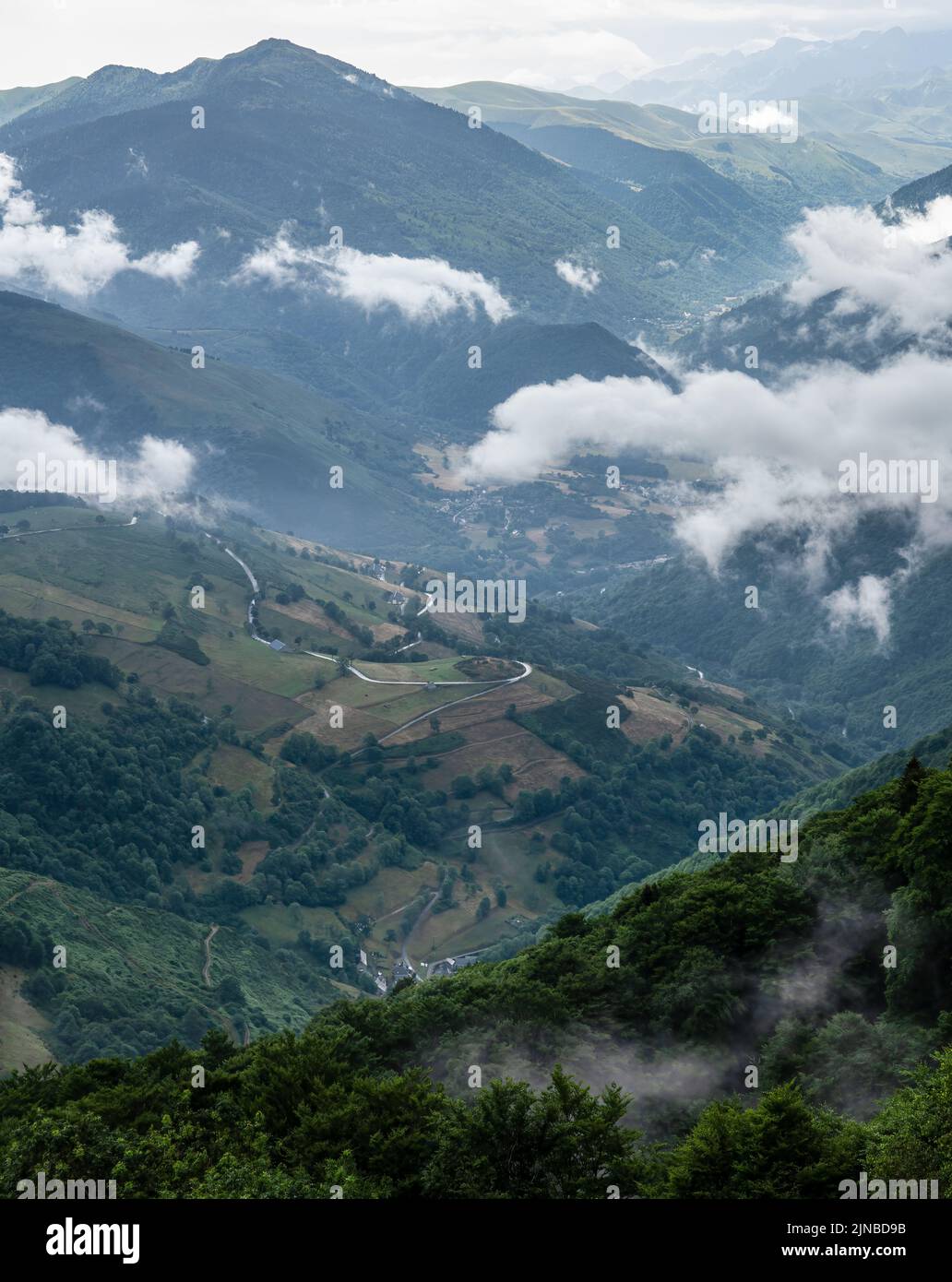 Scattered Ranges a mountain range, slopes covered by trees and grass and scattered low ...