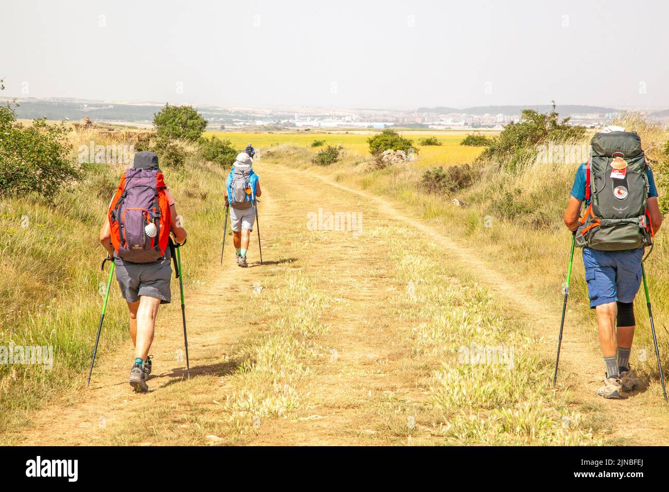 Pilgrims Walking The Camino De Santiago Pilgrimage Route The Way Of St pilgrims-walking-the-camino-de-santiago-pilgrimage-route-the-way-of-st