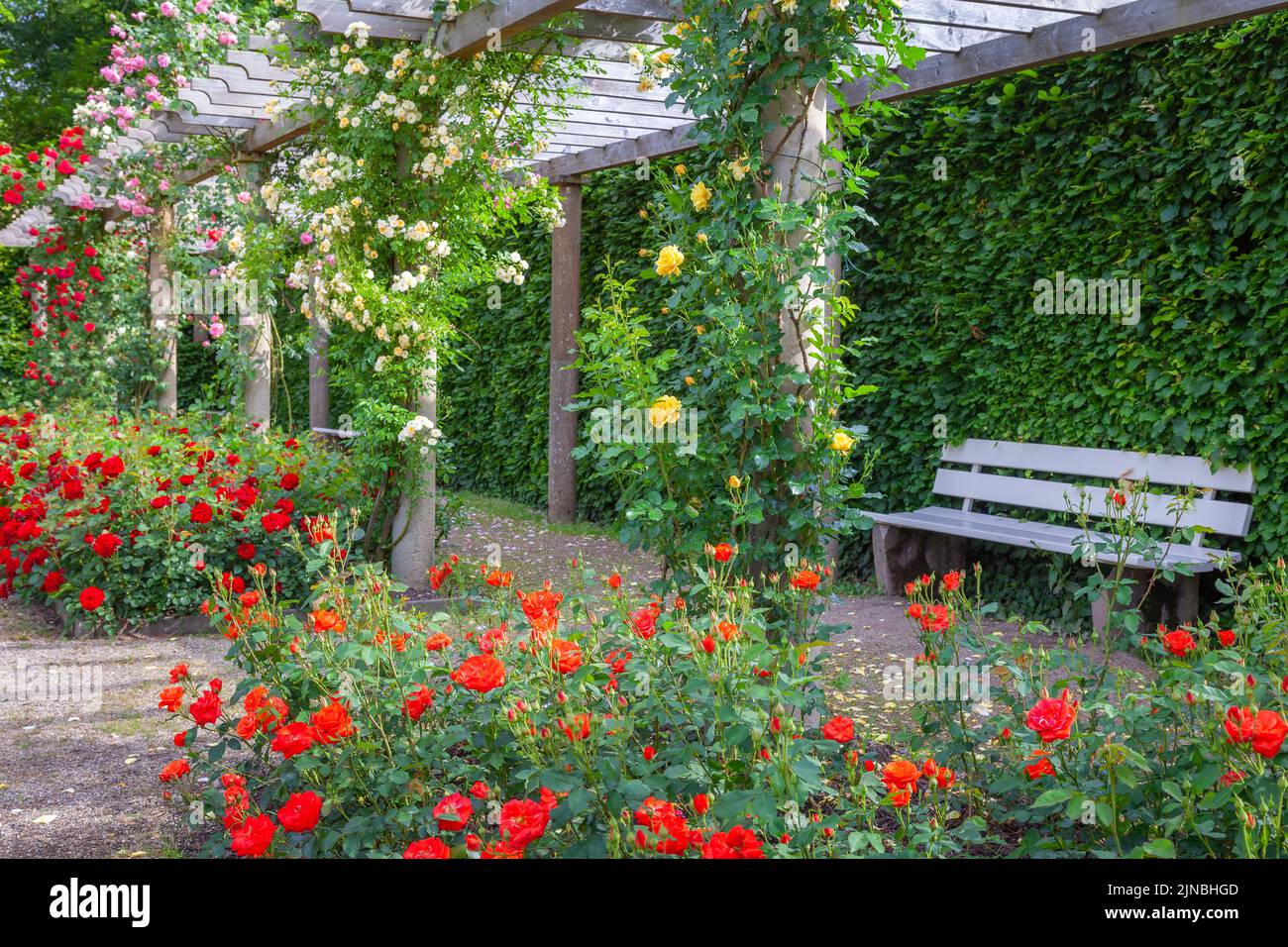 The gazebo in rose garden hi-res stock photography and images - Alamy