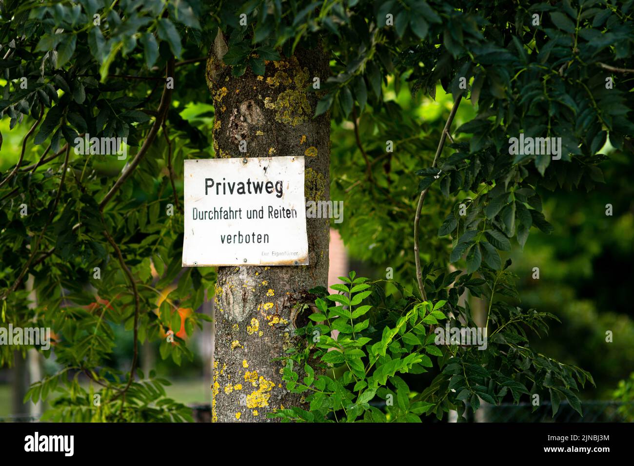 A warning sign on the tree in German Stock Photo Alamy