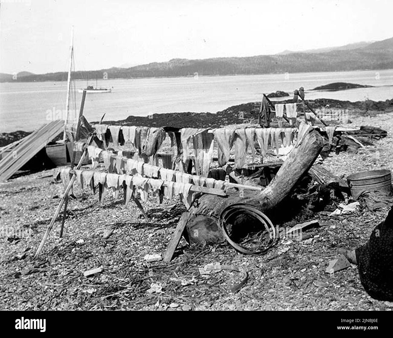Temporary camp of king salmon trollers at Vallenar Point, Alaska, June