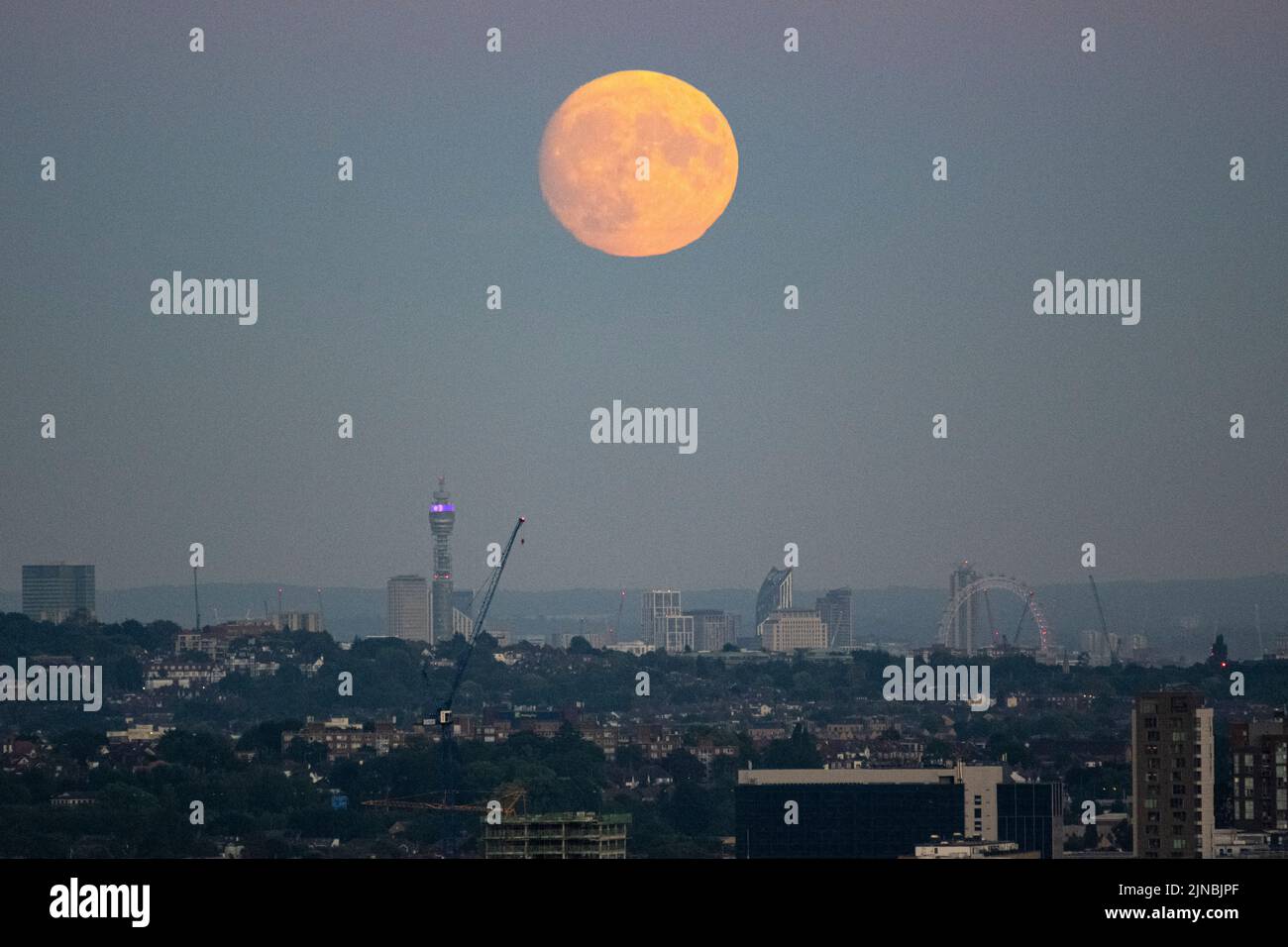 London, UK.  10 August 2022.  UK Weather – A 97.1% waxing gibbous moon rises through a layer of smog over the BT Tower and skyline of the capital.  According to The Old Farmer’s Almanac, August’s full moon (at 02:35 on 12 August) is called the Sturgeon Moon because of the large number of sturgeon fish that were found in the Great Lakes in North America at this time of year.  August’s full moon is also known as a ‘supermoon’ appearing brighter and larger as it will be at its closest point to the Earth in its orbit, known as the perigee. Credit: Stephen Chung / Alamy Live News Stock Photo