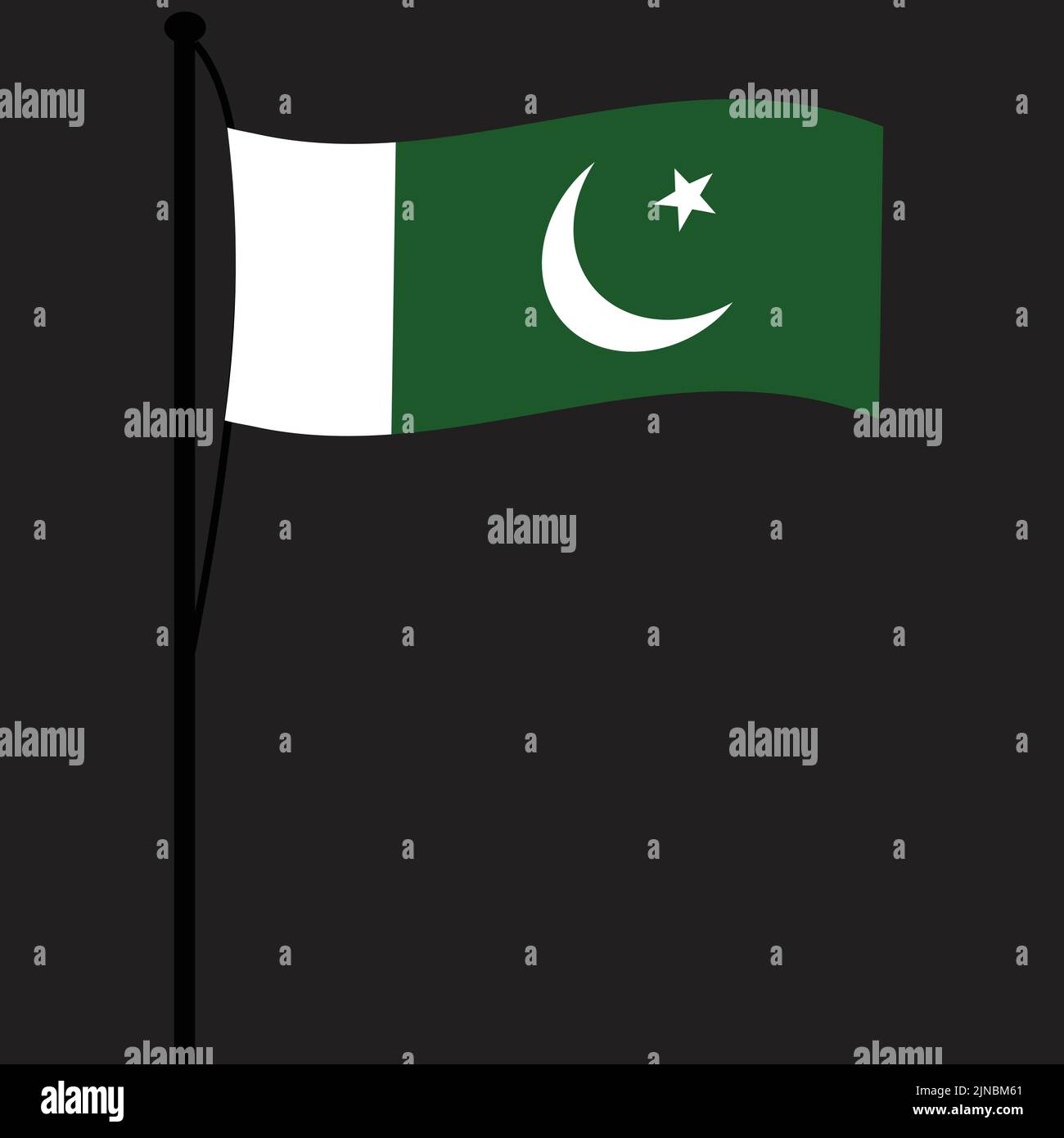 Simple vector design illustration of the Pakistan flag with theme colors of white and green. Star and crescent on the flag. hanging from a black pole Stock Vector