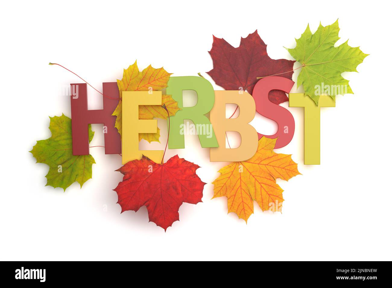 The german text 'Herbst' (Autumn) with coloful foliage around it isolated on white background Stock Photo