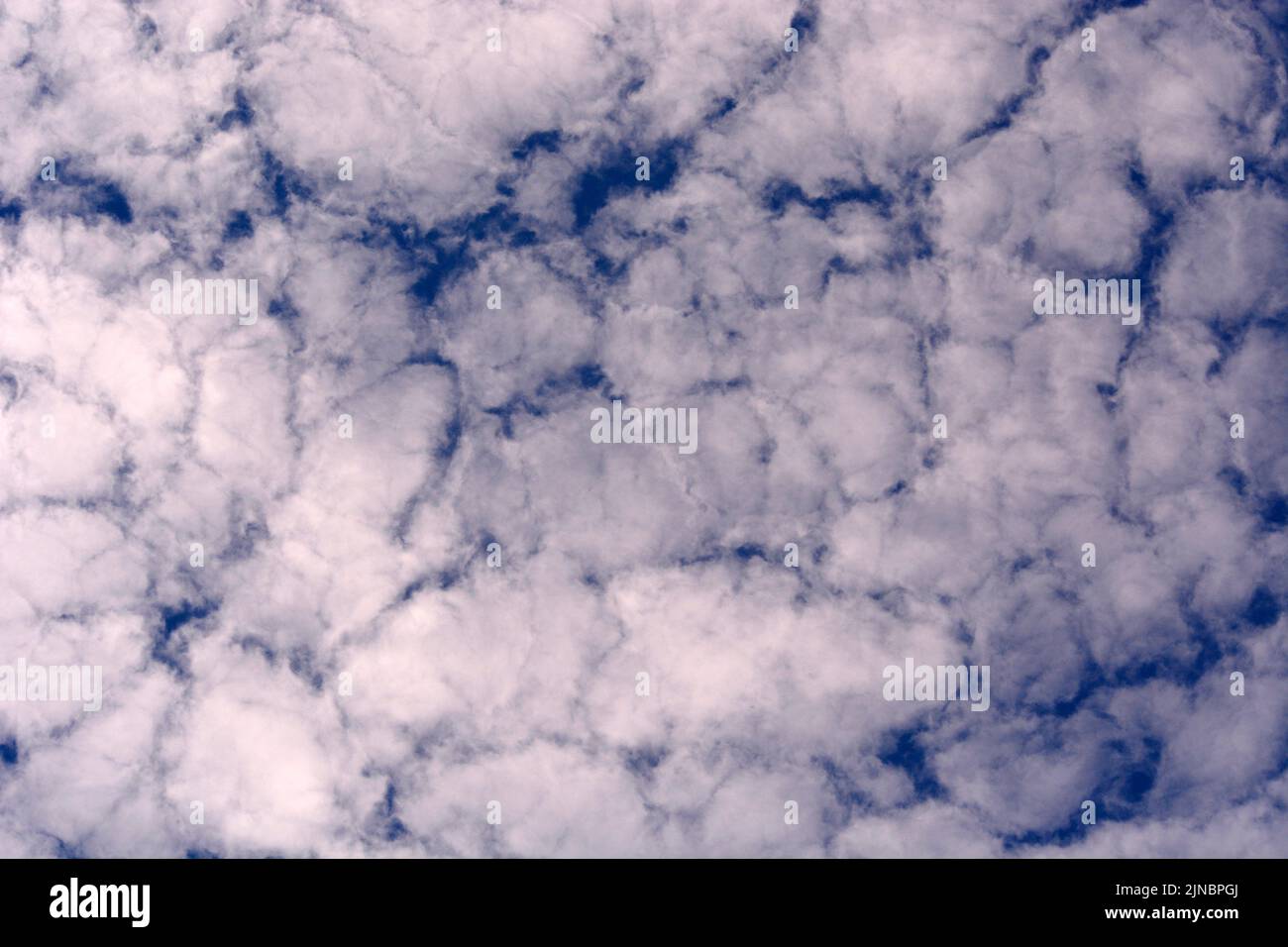 Altocumulus clouds fill the sky over Santa Fe, New Mexico. Stock Photo