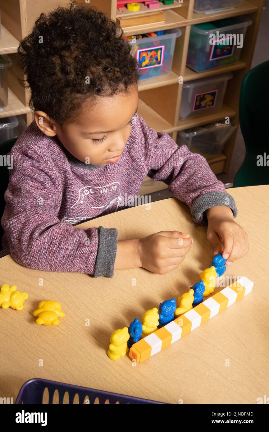 Education Preschool Child Care 4 year olds boy lining up colored bears in pattern after making pattern with colored plastic cubes Stock Photo