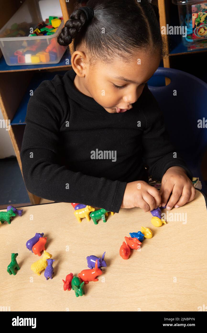 Education Preschool Child Care 3-4 year olds girl talking to herself as she sorts colorful plastic animals Stock Photo