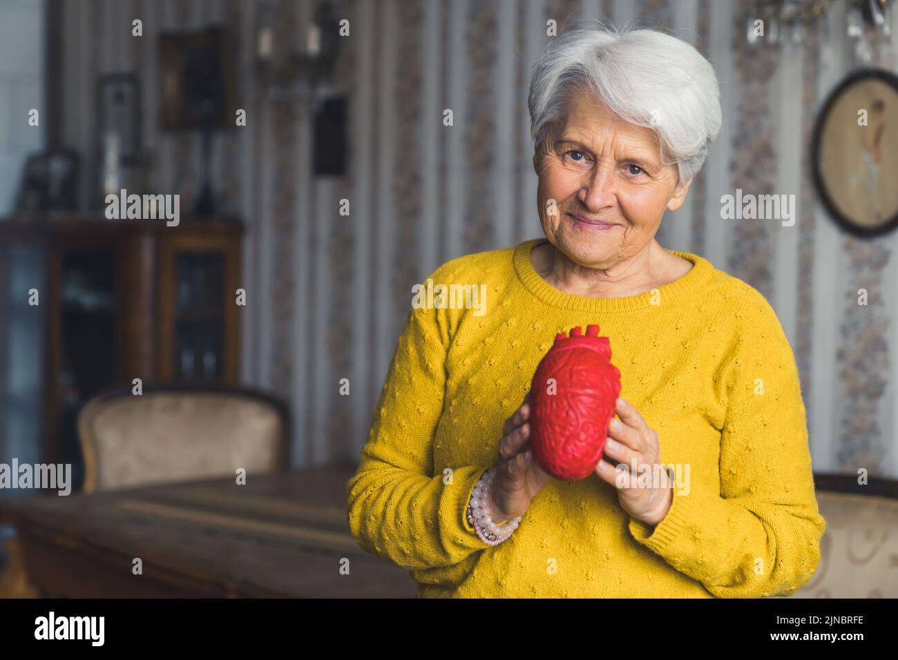 Caucasian tender elderly woman, standing in the living room at home and holding an artificial red human's heart . High quality photo Stock Photo