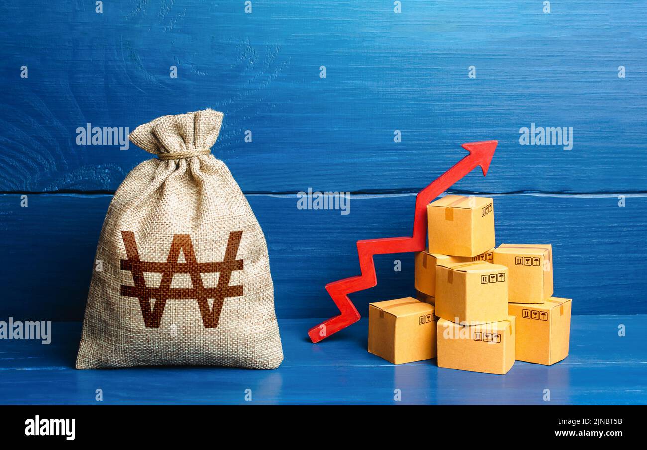 South korean won money bag with boxes and up arrow. Good consumer sentiment and demand for goods. Income increase, acceleration and growing of economy Stock Photo