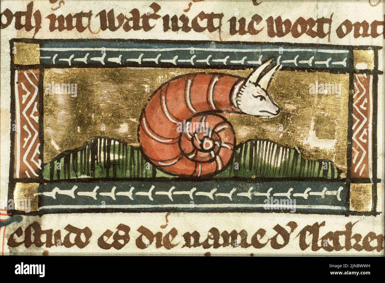 Testudo (snail) - Der naturen bloeme - Jacob van Maerlant - KB KA 16 ...