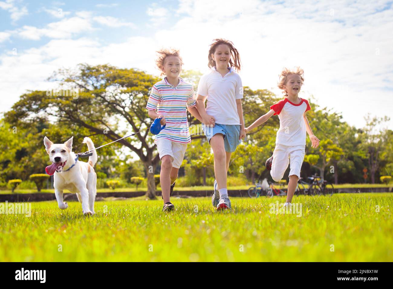 Family with kids running outdoor on sunny summer day. Siblings play in a garden. Kid boy and girl walking dog in a park. Vacation with child and pet. Stock Photo
