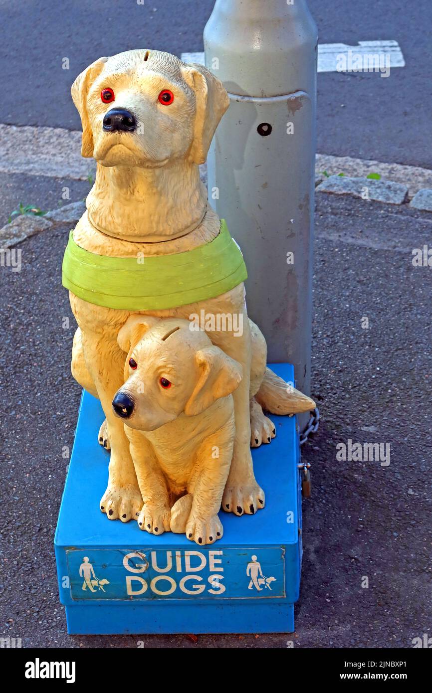 Vintage Guide Dogs charity collecting box, High Street, Moreton-in-Marsh, Cotswolds, Oxfordshire, England, UK Stock Photo