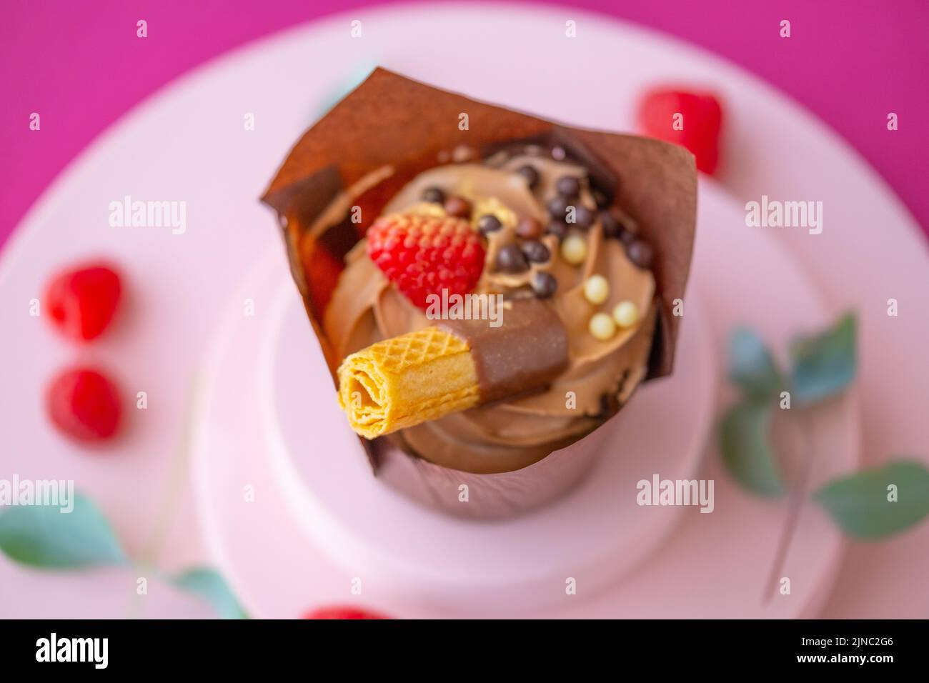 Chocolate cupcake with raspberries and crispy waffles on a pink podium ...