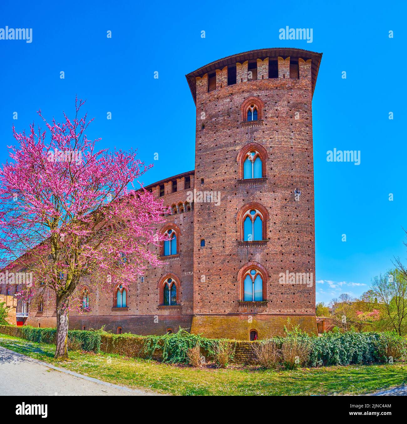 Medieval Visconti Castle and blooming Cornus Florida trees in its park, Pavia, Italy Stock Photo