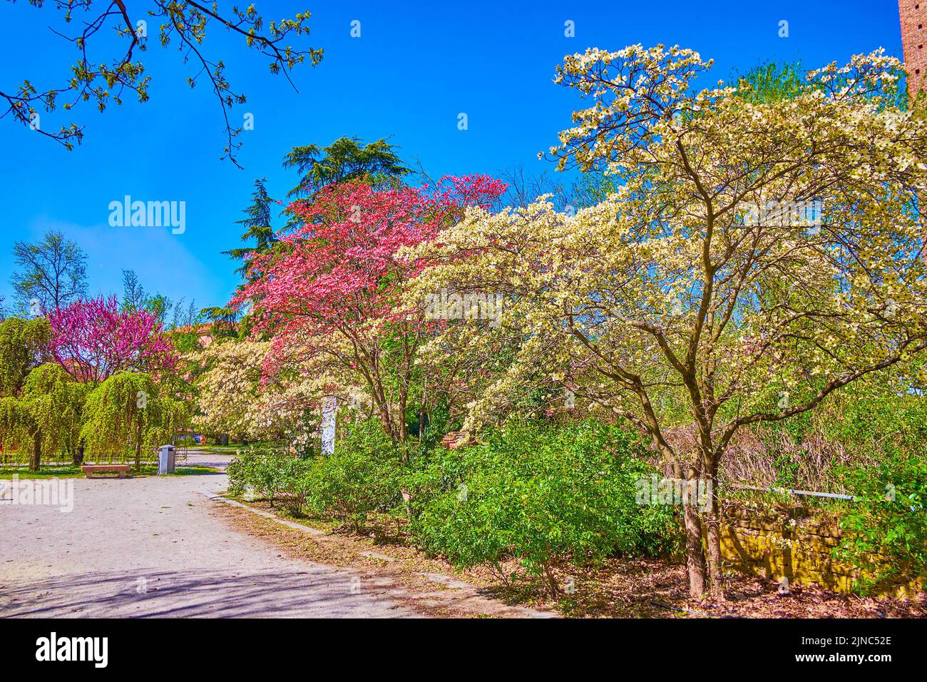 The alley in lush park with blooming trees at Visconti Palace in Pavia, Italy Stock Photo