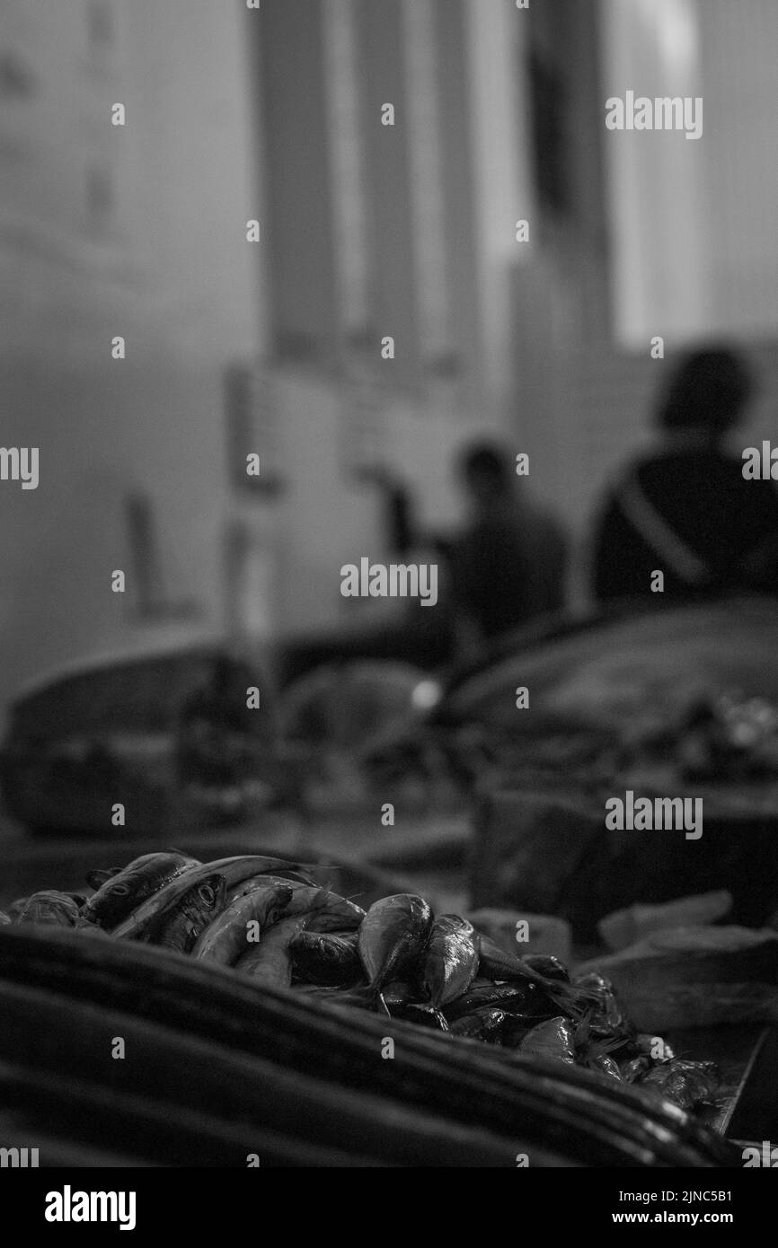 A vertical grayscale of fish in a street market Stock Photo - Alamy