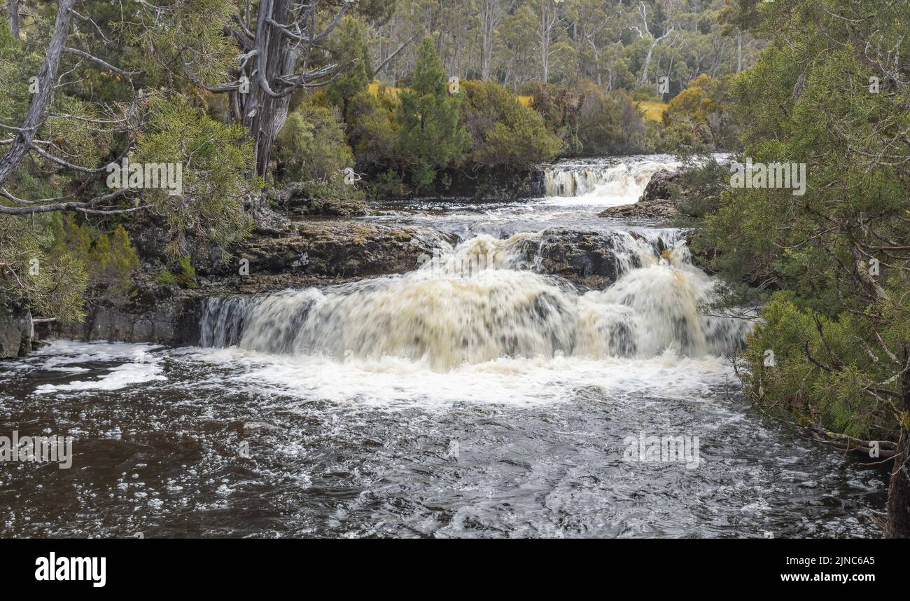 pencil pine cascade at cradle mountain national park in tasmania, australia Stock Photo