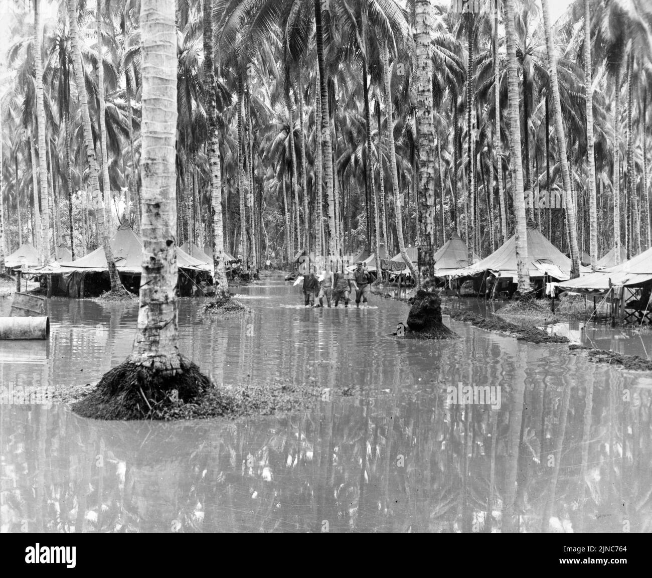 Cactus Air Force air crew wade through the flooded coconut grove where they have pitched their tents near Henderson Field airstrip on Guadalcanal. . The Cactus Air Force was the nickname of the aviation unit that was based on this airstrip during WW2. Stock Photo