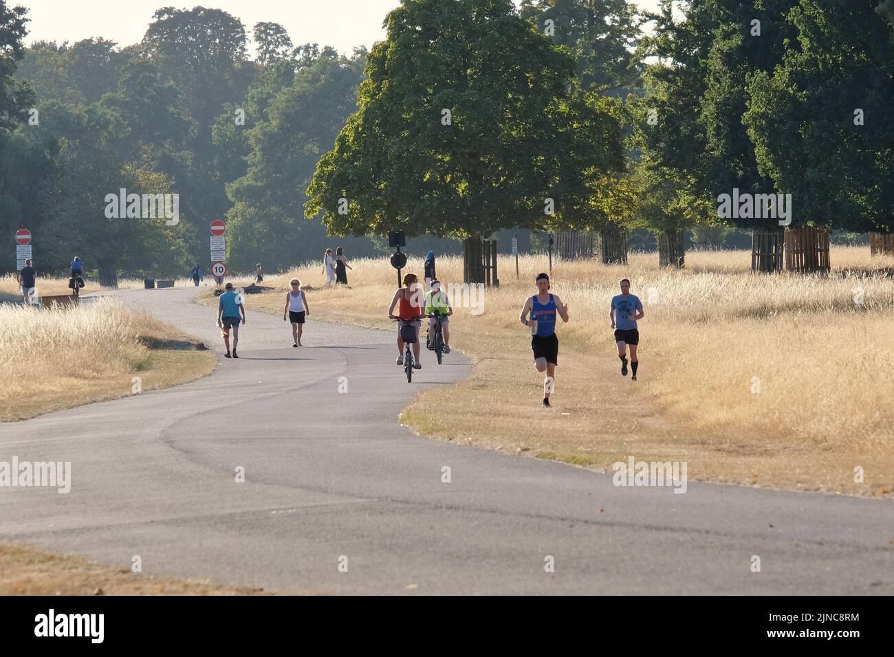 London, UK, 10th Aug, 2022.  Runners, walkers and cyclists pass through Bushy Park in south-west London. After continuing hot, sunny conditions, with the driest July on record, has left the park with large areas of yellowing grass. An Amber Extreme heat warning was issued by the Met Office this week as temmperatures are expected to reach mid-30 degrees celsius.  Credit: Eleventh Hour Photography/Alamy Live News Stock Photo