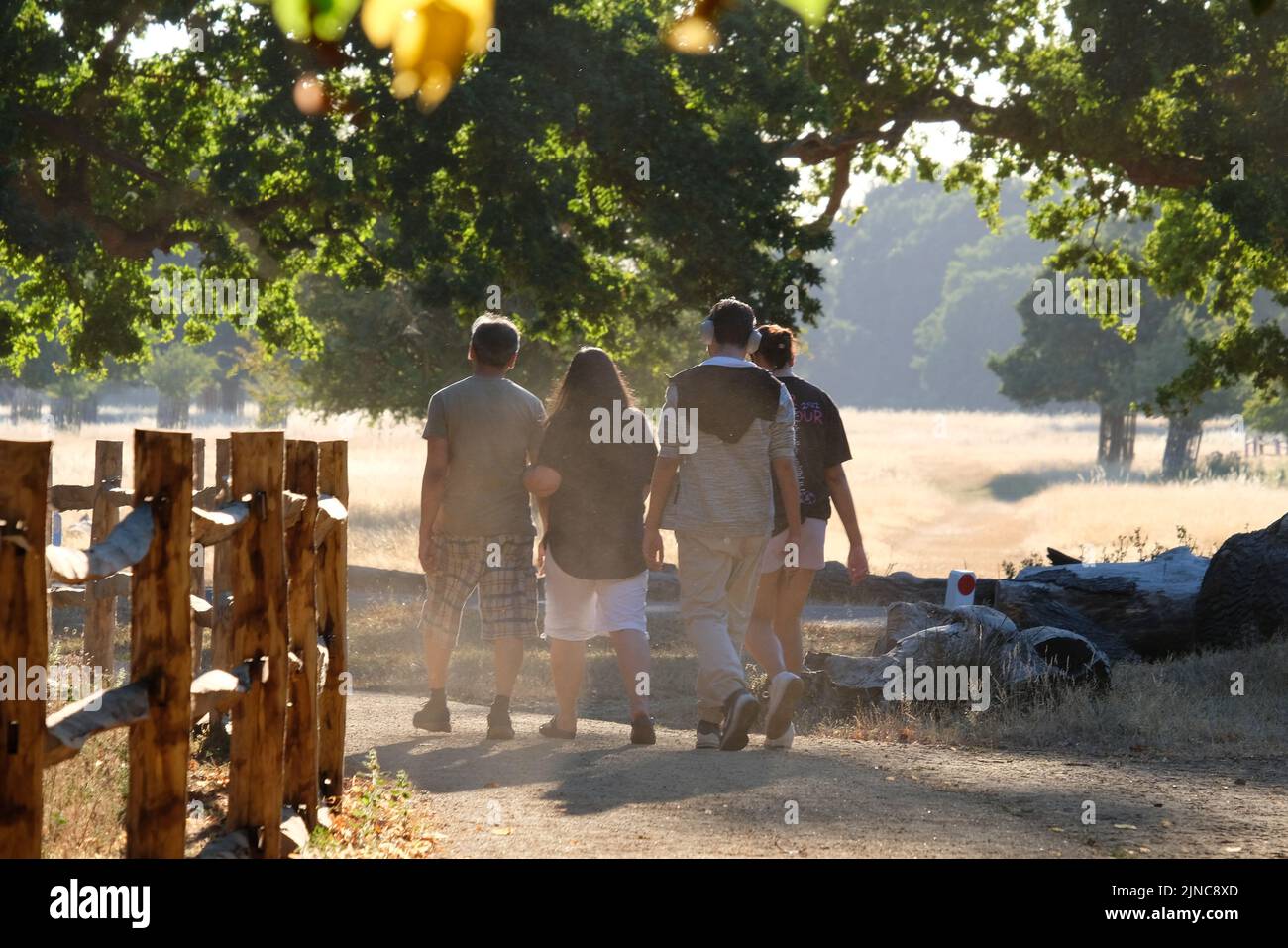 London, UK, 10th Aug, 2022.  A family enjoy an evening walk along a dusty path in Bushy Park in south-west London. After continuing hot, sunny conditions, with the driest July on record has left the park with large areas of yellowing grass. An Amber Extreme heat warning was issued by the Met Office this week as temperatures are expected to reach mid-30 degrees celsius.  Credit: Eleventh Hour Photography/Alamy Live News Stock Photo