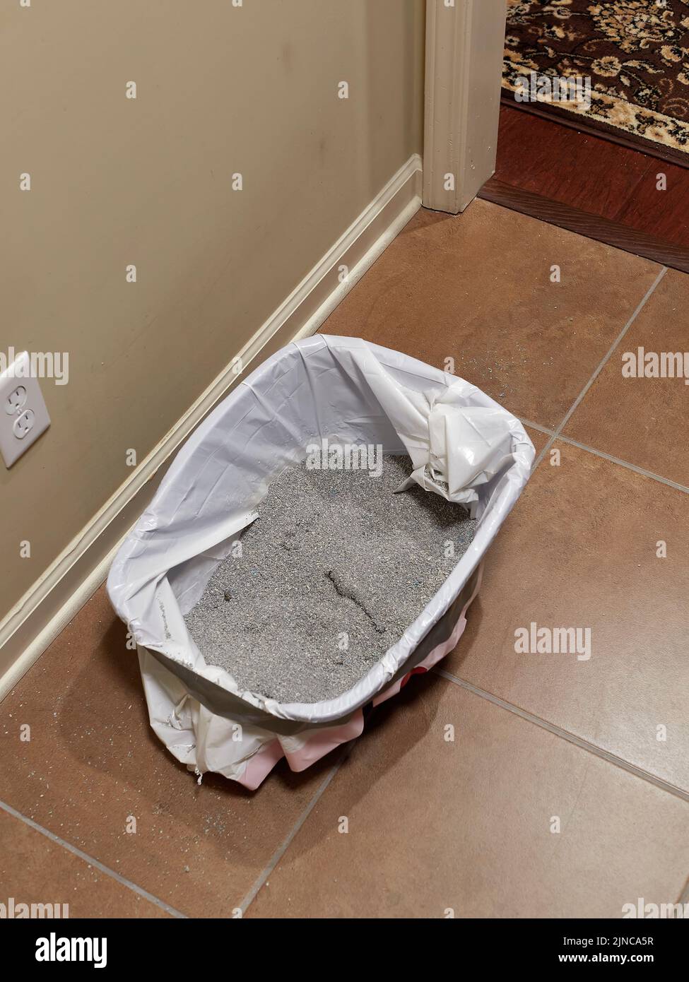 Dirty used kitty or cat litter in a kitty litter cat box. Stock Photo