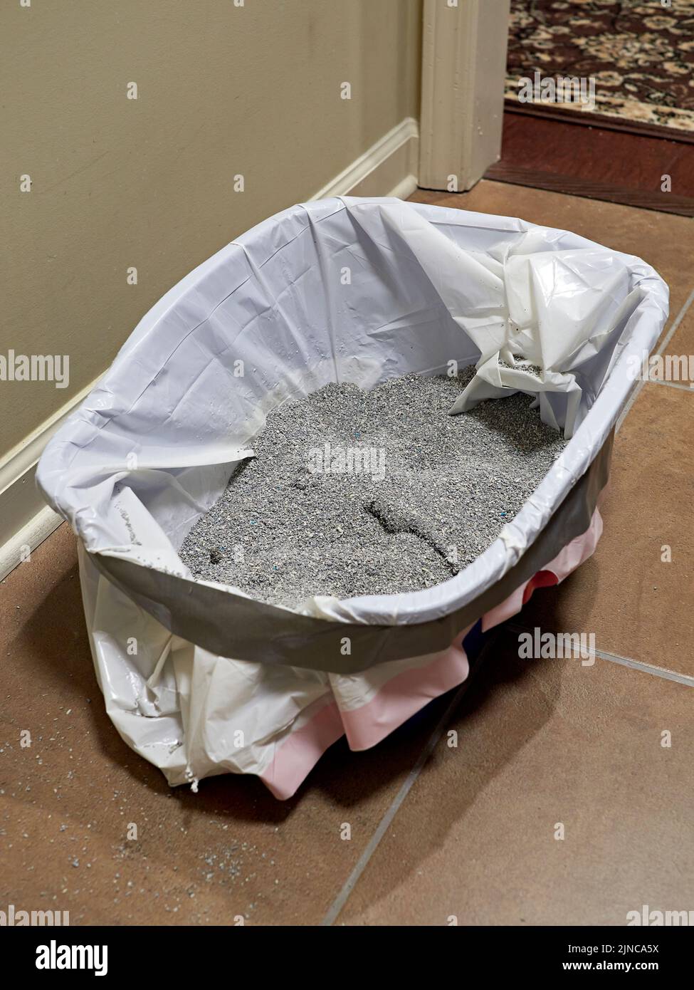 Dirty used kitty or cat litter in a kitty litter cat box. Stock Photo