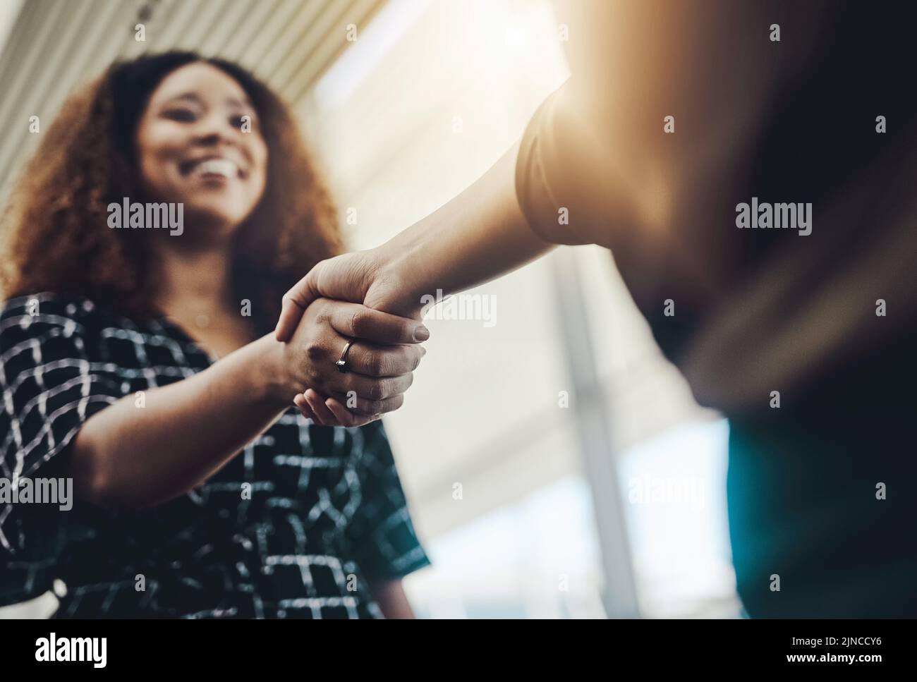 I know well do great together. Low angle shot of an attractive young businesswoman shaking hands with an associate in a modern workplace. Stock Photo