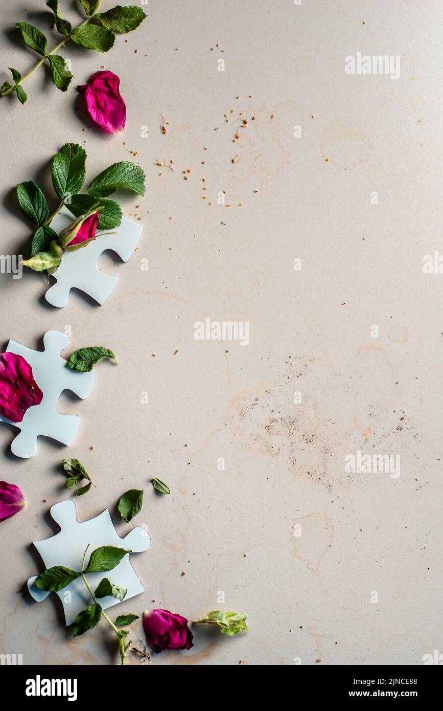 Blank puzzle pieces with rosehip flowers, connection concept, floral flatlay Stock Photo