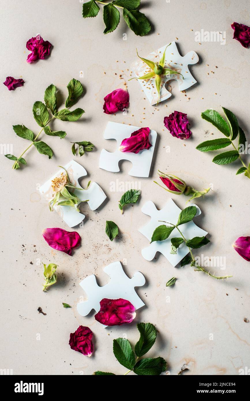 Blank puzzle pieces with rosehip flowers, connection concept, floral flatlay Stock Photo