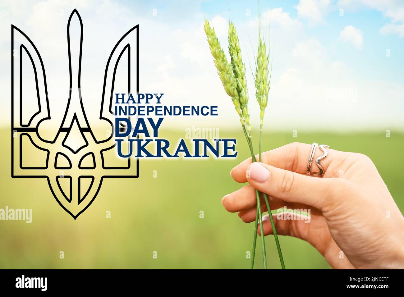Woman with spikelets in field, closeup. Ukrainian Independence Day Stock Photo