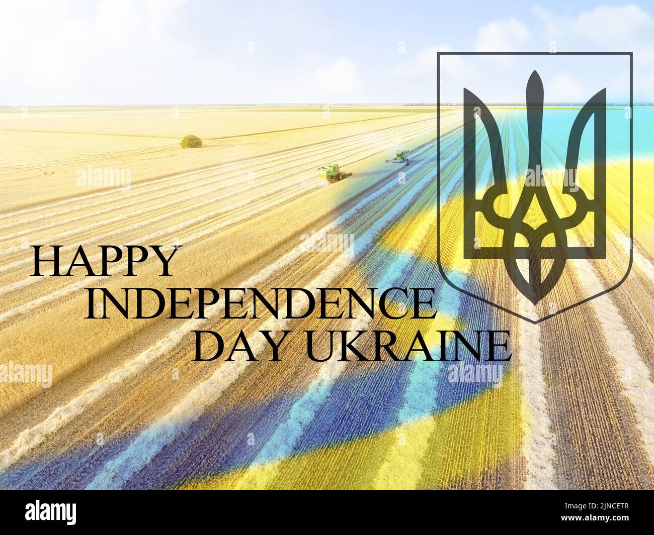 Poster for Ukrainian Independence Day with wheat field Stock Photo