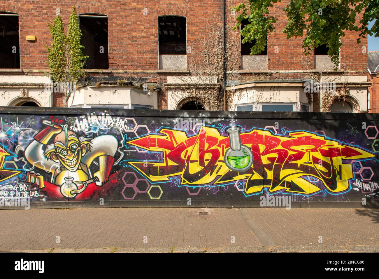 Street Art, Botanic St, Belfast, Northern Ireland Stock Photo Alamy