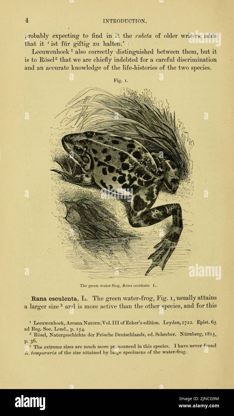 Frog Introduction The anatomy of the frog (Page 4, Fig. 1 Stock Photo - Alamy