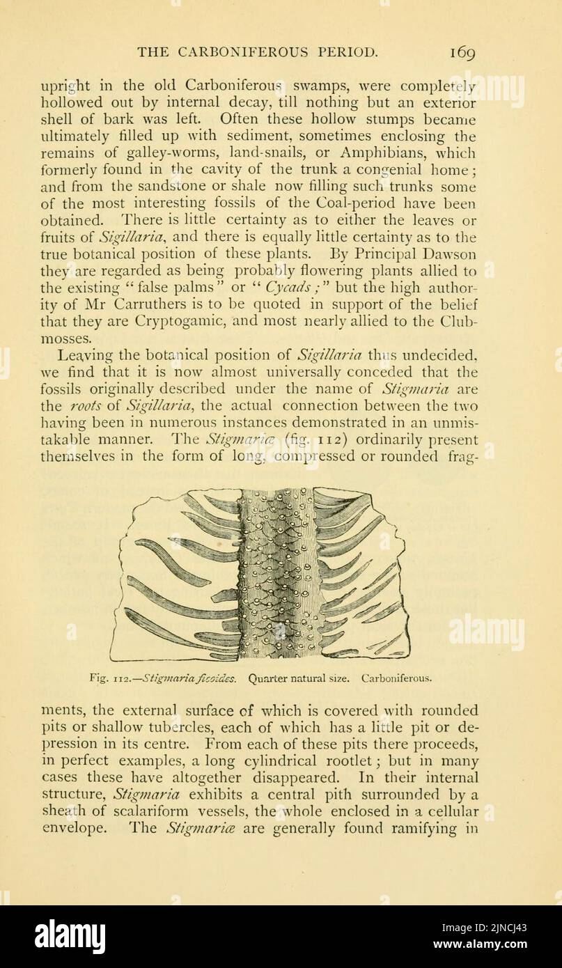 Page169